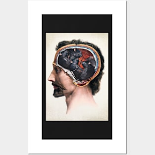 i went to college once, but all they found were rats in my head Posters and Art